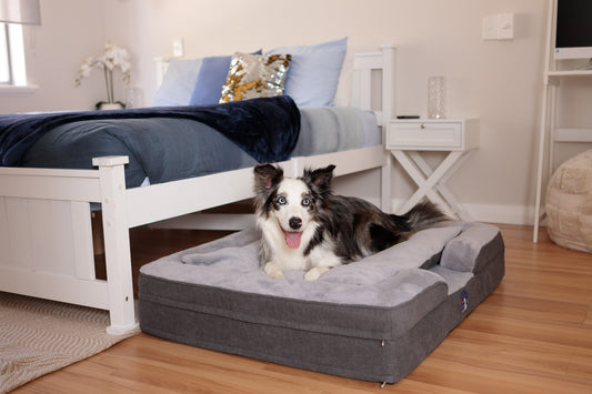 The Dreamer Bed